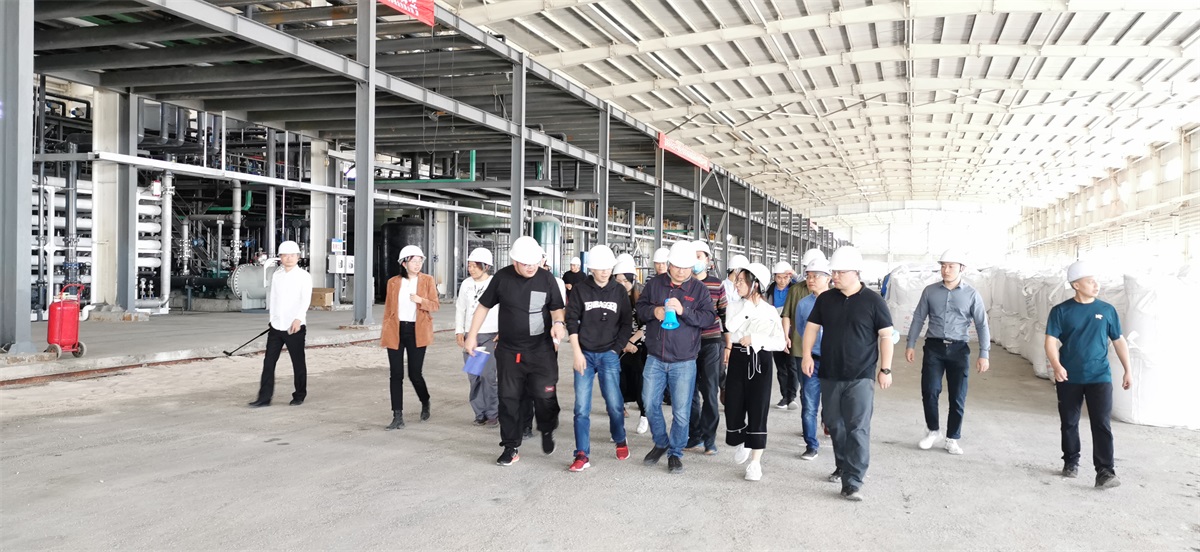 “yp街机电子科技盐湖提锂技术——走进锦泰项目”圆满举行